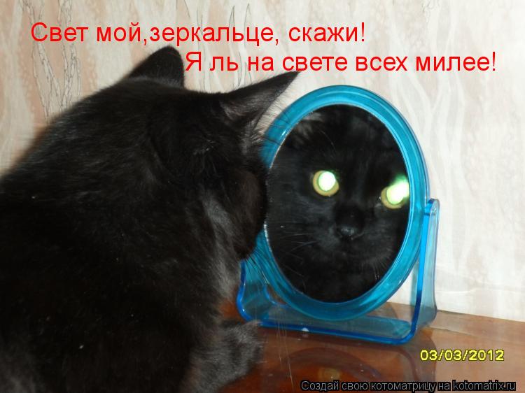 Свет мой,зеркальце, скажи! Я ль на свете всех милее!... Котоматрица: Свет мой,зеркальце, скажи! Я ль на свете всех милее!
