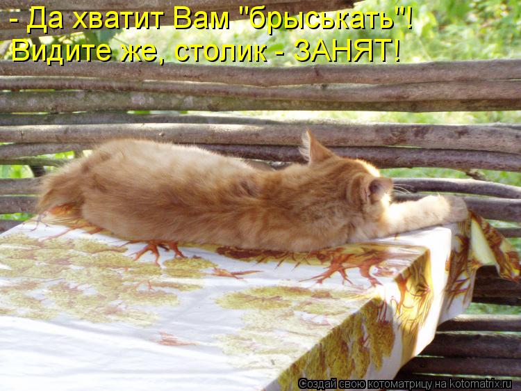 - Да хватит Вам "брыськать"! Видите же, столик - ЗАНЯТ!... Котоматрица: - Да хватит Вам "брыськать"! Видите же, столик - ЗАНЯТ!
