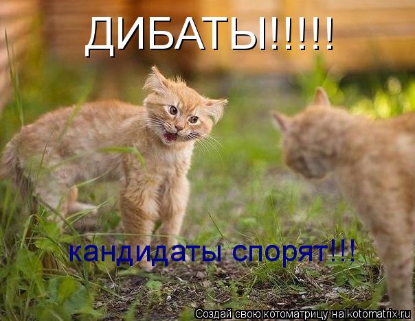 ДИБАТЫ!!!!! кандидаты спорят!!!... Котоматрица: ДИБАТЫ!!!!! кандидаты спорят!!!