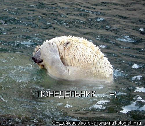 ПОНЕДЕЛЬНИК......=(... Котоматрица: ПОНЕДЕЛЬНИК......=(