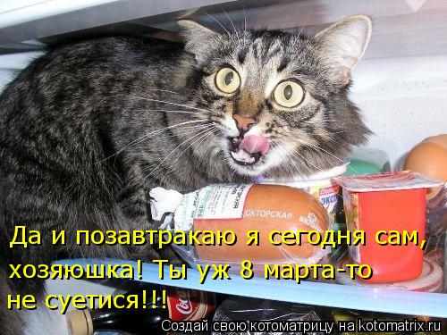 Да и позавтракаю я сегодня сам, хозяюшка! Ты уж 8 марта-то не суетися!!!... Котоматрица: Да и позавтракаю я сегодня сам, хозяюшка! Ты уж 8 марта-то не суетися!!!