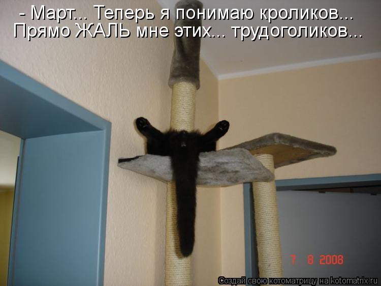 - Март... Теперь я понимаю кроликов... Прямо ЖАЛЬ мне этих... трудоголиков...... Котоматрица: - Март... Теперь я понимаю кроликов... Прямо ЖАЛЬ мне этих... трудоголиков...