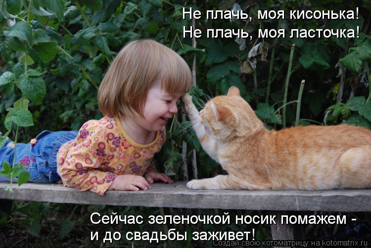 Не плачь, моя кисонька! Не плачь, моя ласточка! Сейчас зеленочкой носик помажем - и до свадьбы зажив... Котоматрица: Не плачь, моя кисонька! Не плачь, моя ласточка! Сейчас зеленочкой носик помажем - и до свадьбы заживет!