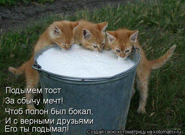 Подымем тост За сбычу мечт! Чтоб полон был бокал, И с верными друзьями Его ты подымал!... Котоматрица: Подымем тост За сбычу мечт! Чтоб полон был бокал, И с верными друзьями Его ты подымал!