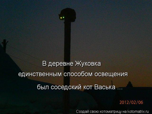 В деревне Жуковка единственным способом освещения был соседский кот Васька ...... Котоматрица: В деревне Жуковка единственным способом освещения был соседский кот Васька ...
