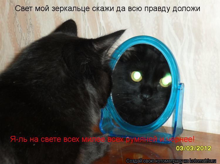 Свет мой зеркальце скажи да всю правду доложи Я-ль на свете всех милее всех румяней и чернее!... Котоматрица: Свет мой зеркальце скажи да всю правду доложи Я-ль на свете всех милее всех румяней и чернее!