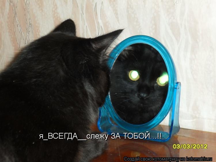 я_ВСЕГДА__слежу ЗА ТОБОЙ...!!... Котоматрица: я_ВСЕГДА__слежу ЗА ТОБОЙ...!!
