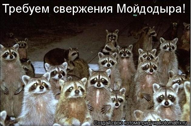 Требуем свержения Мойдодыра!... Котоматрица: Требуем свержения Мойдодыра!