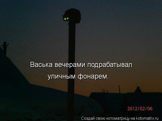Васька вечерами подрабатыва л уличным фонарем.... Котоматрица: Васька вечерами подрабатыва л уличным фонарем.