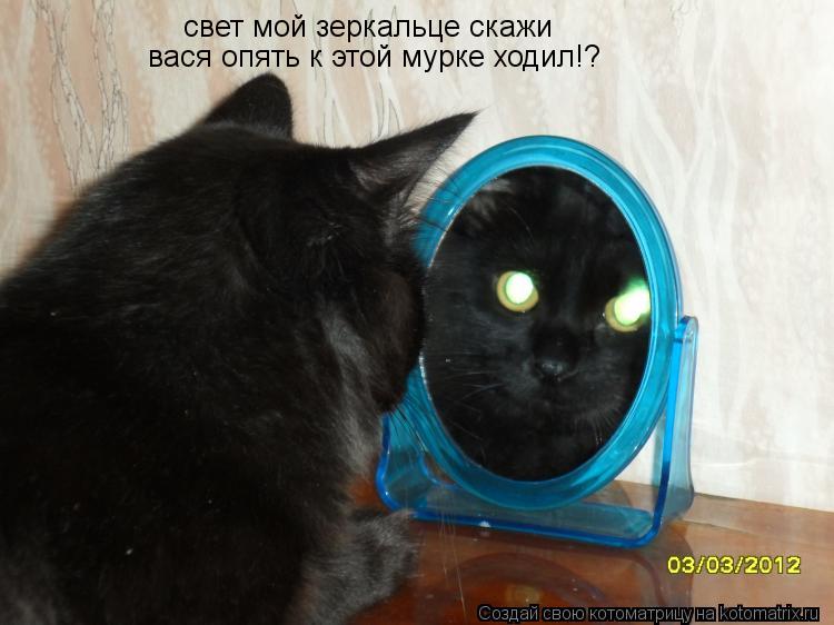 свет мой зеркальце скажи вася опять к этой мурке ходил!?... Котоматрица: свет мой зеркальце скажи вася опять к этой мурке ходил!?