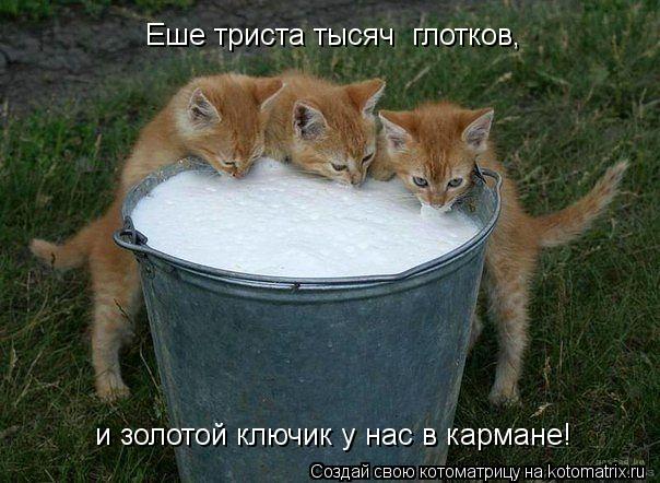 Еше триста тысяч глотков, и золотой ключик у нас в кармане!... Котоматрица: Еше триста тысяч глотков, и золотой ключик у нас в кармане!