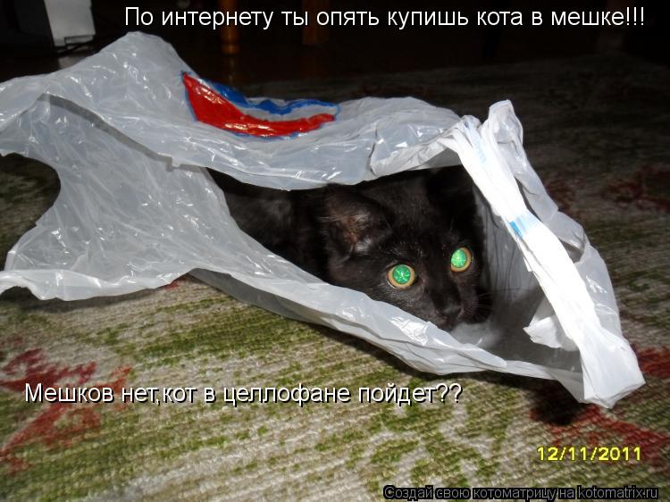 Мешков нет,кот в целлофане пойдет?? По интернету ты опять купишь кота в мешке!!!... Котоматрица: Мешков нет,кот в целлофане пойдет?? По интернету ты опять купишь кота в мешке!!!