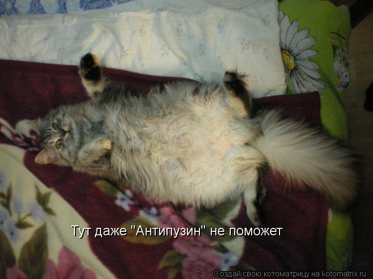 Тут даже "Антипузин" не поможет... Котоматрица: Тут даже "Антипузин" не поможет