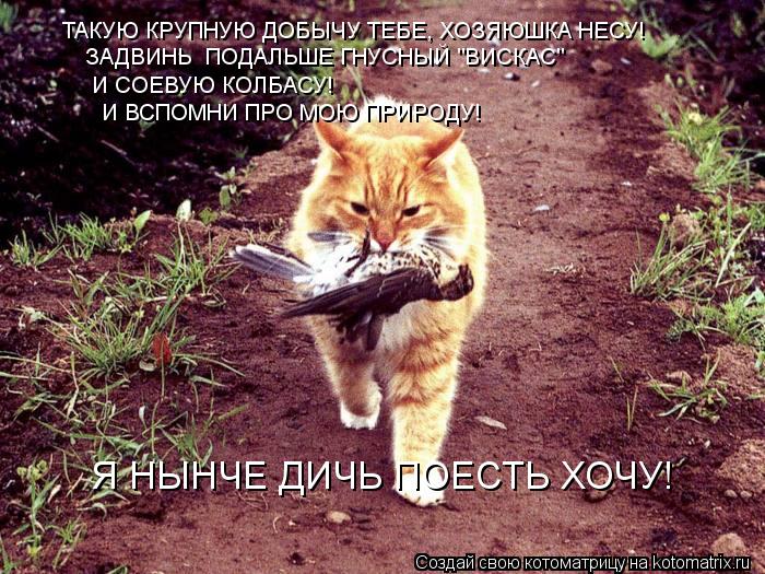 ТАКУЮ КРУПНУЮ ДОБЫЧУ ТЕБЕ, ХОЗЯЮШКА НЕСУ! ЗАДВИНЬ ПОДАЛЬШЕ ГНУСНЫЙ "ВИСКАС" И СОЕВУЮ КОЛБАСУ! И ВСПО... Котоматрица: ТАКУЮ КРУПНУЮ ДОБЫЧУ ТЕБЕ, ХОЗЯЮШКА НЕСУ! ЗАДВИНЬ ПОДАЛЬШЕ ГНУСНЫЙ "ВИСКАС" И СОЕВУЮ КОЛБАСУ! И ВСПОМНИ ПРО МОЮ ПРИРОДУ! Я НЫНЧЕ ДИЧЬ ПОЕСТЬ