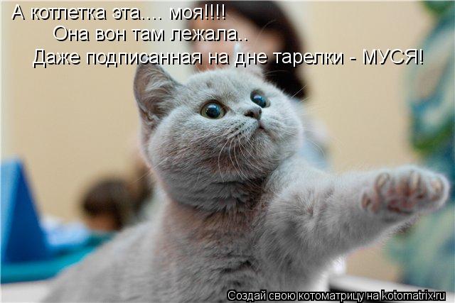 А котлетка эта.... моя!!!! Она вон там лежала.. Даже подписанная на дне тарелки - МУСЯ!... Котоматрица: А котлетка эта.... моя!!!! Она вон там лежала.. Даже подписанная на дне тарелки - МУСЯ!