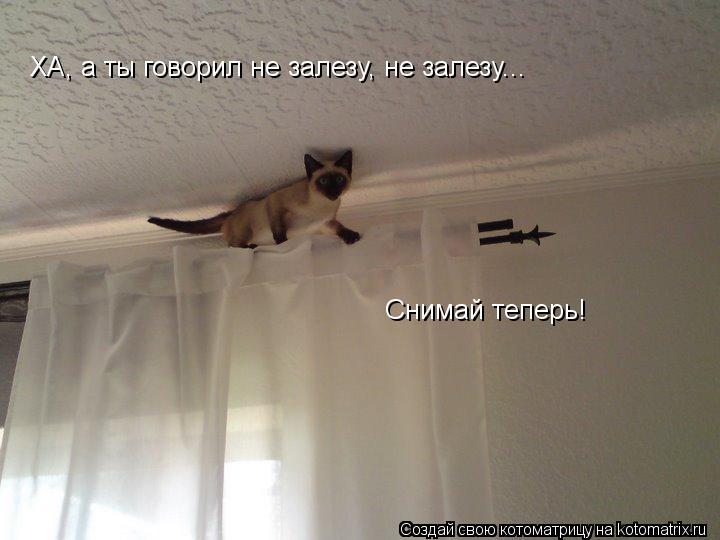 ХА, а ты говорил не залезу, не залезу... Снимай теперь!... Котоматрица: ХА, а ты говорил не залезу, не залезу... Снимай теперь!