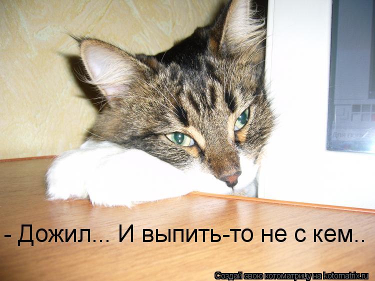 - Дожил... И выпить-то не с кем..... Котоматрица: - Дожил... И выпить-то не с кем..