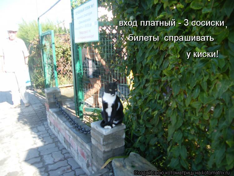 Котоматрица: билеты  спрашивать  вход платный - 3 сосиски у киски! ,