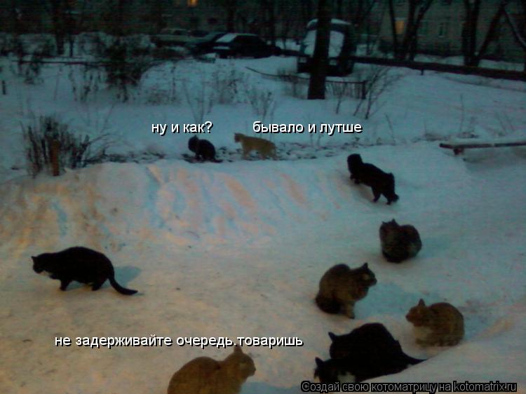 не задерживайте очередь.товаришь ну и как? бывало и лутше... Котоматрица: не задерживайте очередь.товаришь ну и как? бывало и лутше