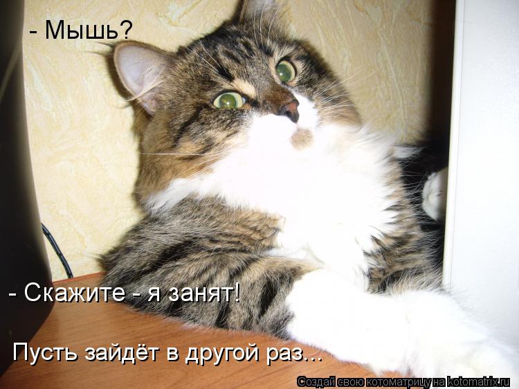 - Мышь? - Скажите - я занят! Пусть зайдёт в другой раз...... Котоматрица: - Мышь? - Скажите - я занят! Пусть зайдёт в другой раз...