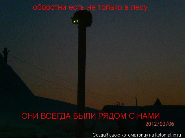 оборотни есть не только в лесу ОНИ ВСЕГДА БЫЛИ РЯДОМ С НАМИ... Котоматрица: оборотни есть не только в лесу ОНИ ВСЕГДА БЫЛИ РЯДОМ С НАМИ
