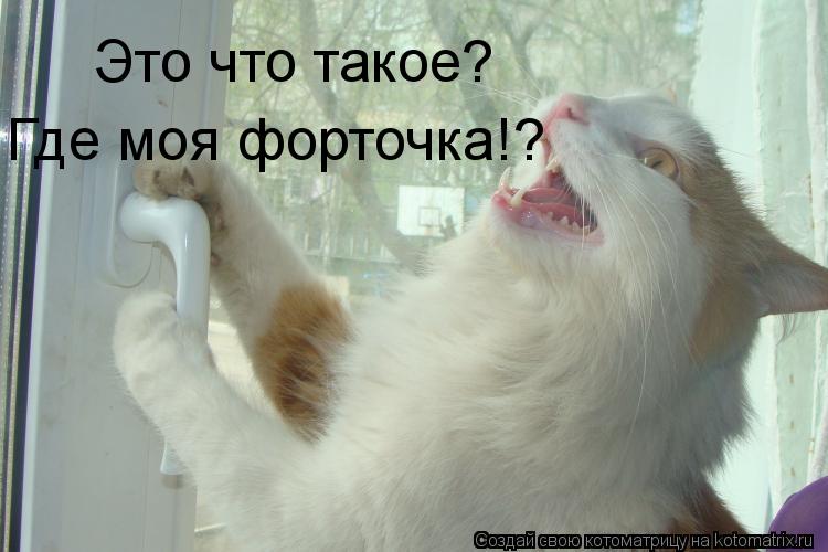 Котоматрица: Это что такое? Где моя форточка!?