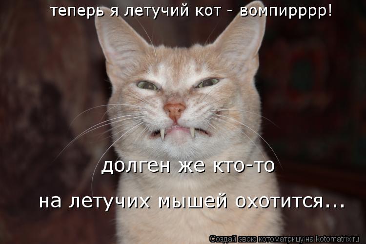 Котоматрица: теперь я летучий кот - вомпирррр! долген же кто-то на летучих мышей охотится...