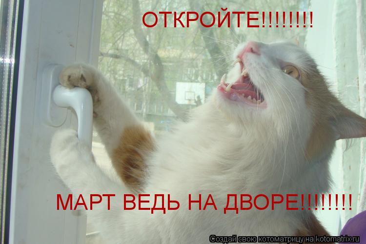 ОТКРОЙТЕ!!!!!!!! МАРТ ВЕДЬ НА ДВОРЕ!!!!!!!!... Котоматрица: ОТКРОЙТЕ!!!!!!!! МАРТ ВЕДЬ НА ДВОРЕ!!!!!!!!