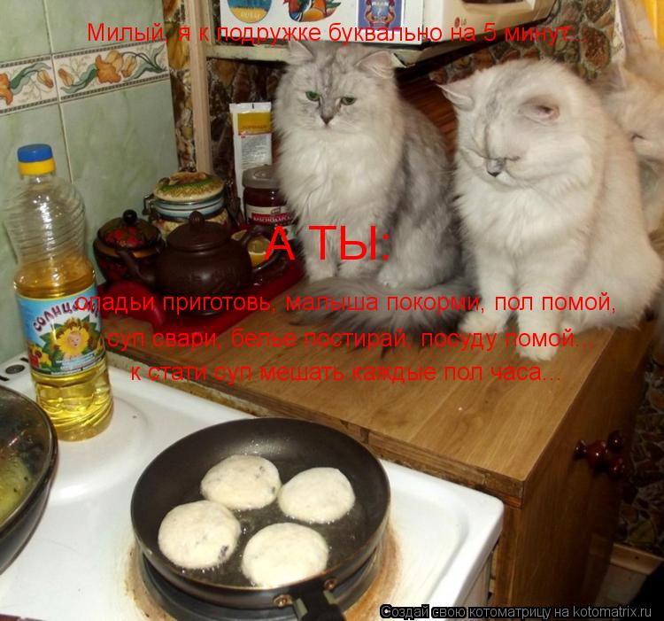 Милый, я к подружке буквально на 5 минут... А ТЫ: оладьи приготовь, малыша покорми, пол помой, суп св... Котоматрица: Милый, я к подружке буквально на 5 минут... А ТЫ: оладьи приготовь, малыша покорми, пол помой, суп свари, белье постирай, посуду помой... к стати