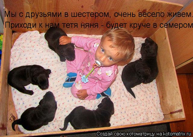 Мы с друзьями в шестером, очень весело живем. Приходи к нам тетя няня - будет круче в семером... Котоматрица: Мы с друзьями в шестером, очень весело живем. Приходи к нам тетя няня - будет круче в семером