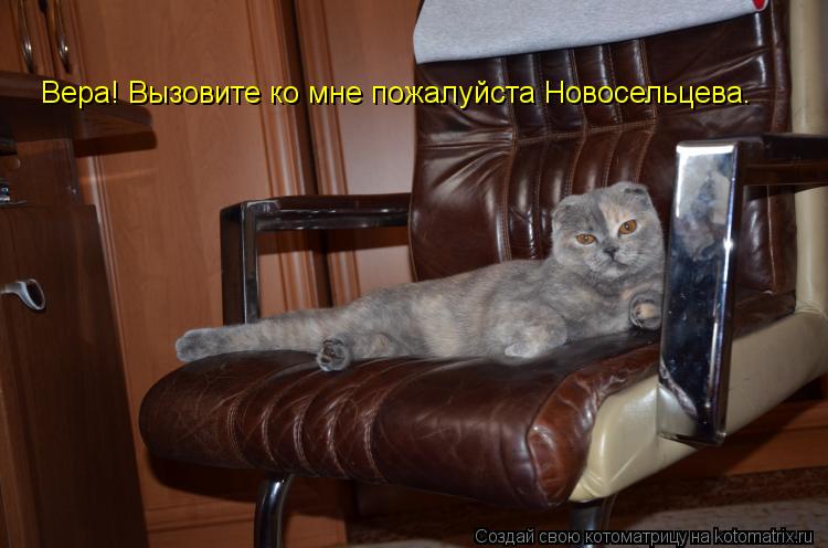 Вера! Вызовите ко мне пожалуйста Новосельцева.... Котоматрица: Вера! Вызовите ко мне пожалуйста Новосельцева.