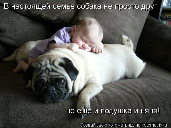 В настоящей семье собака не просто друг но еще и подушка и няня!... Котоматрица: В настоящей семье собака не просто друг но еще и подушка и няня!