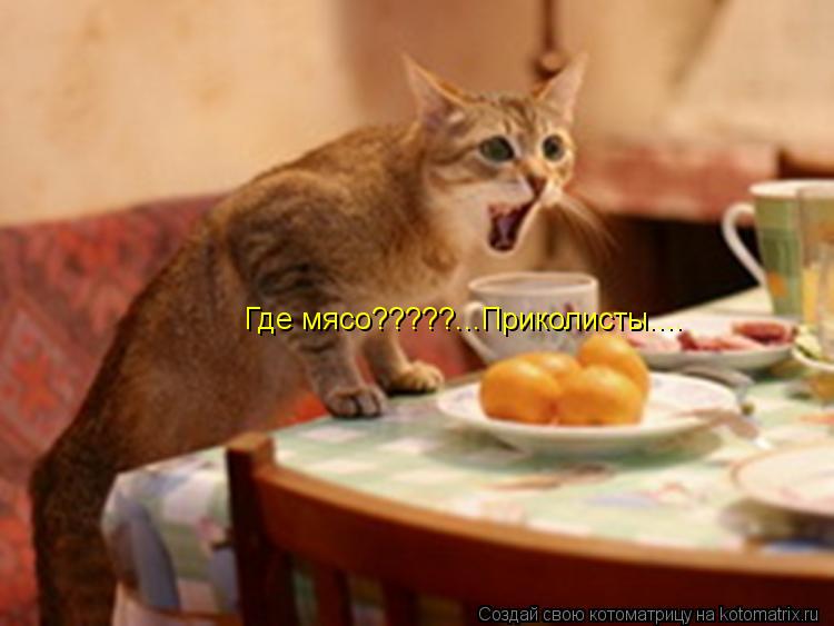 Где мясо?????...Приколисты....... Котоматрица: Где мясо?????...Приколисты....