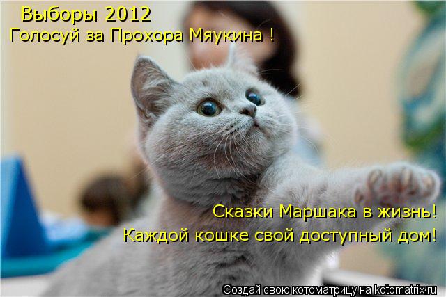 Котоматрица: Выборы 2012 Голосуй за Прохора Мяукина ! Сказки Маршака в жизнь! Каждой кошке свой доступный дом!