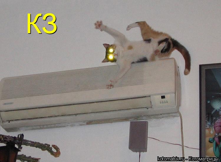 КЗ... Котоматрица: КЗ