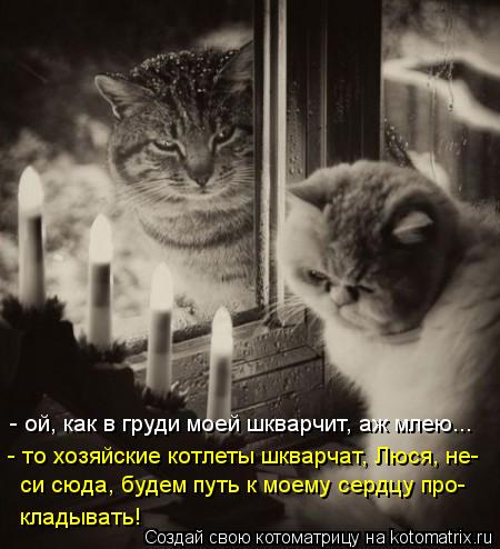 - ой, как в груди моей шкварчит, аж млею... - то хозяйские котлеты шкварчат, Люся, не- си сюда, будем... Котоматрица: - ой, как в груди моей шкварчит, аж млею... - то хозяйские котлеты шкварчат, Люся, не- си сюда, будем путь к моему сердцу про- кладывать!