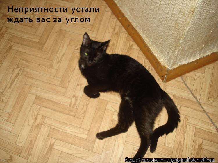 Неприятности устали ждать вас за углом... Котоматрица: Неприятности устали ждать вас за углом