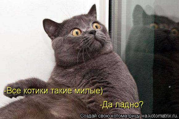 -Все котики такие милые) -Все котики такие милые) -Да ладно?... Котоматрица: -Все котики такие милые) -Все котики такие милые) -Да ладно?