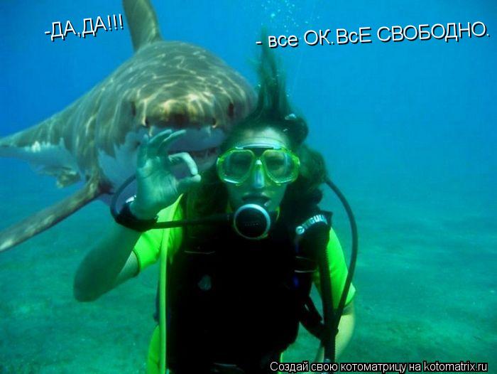 - все ОК.ВсЕ СВОБОДНО. -ДА,ДА!!!... Котоматрица: - все ОК.ВсЕ СВОБОДНО. -ДА,ДА!!!