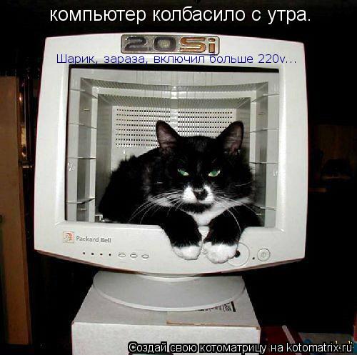 компьютер колбасило с утра. Шарик, зараза, включил больше 220v...... Котоматрица: компьютер колбасило с утра. Шарик, зараза, включил больше 220v...