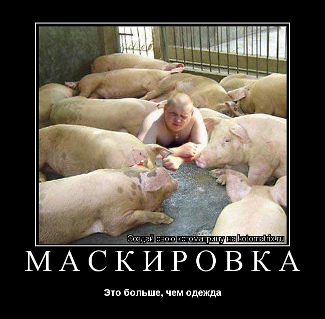 МАСКИРОВКА Это больше, чем одежда... Котоматрица: МАСКИРОВКА Это больше, чем одежда