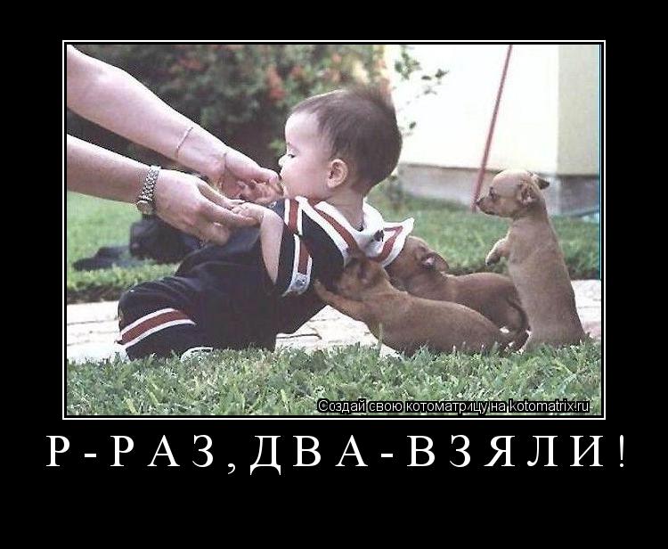 Р-РАЗ,ДВА-ВЗЯЛИ! ... Котоматрица: Р-РАЗ,ДВА-ВЗЯЛИ!