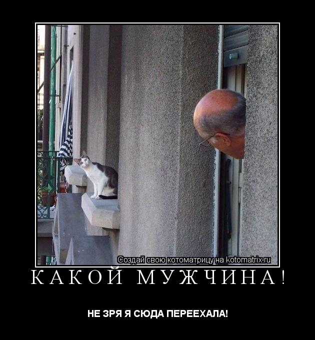 КАКОЙ МУЖЧИНА! НЕ ЗРЯ Я СЮДА ПЕРЕЕХАЛА!... Котоматрица: КАКОЙ МУЖЧИНА! НЕ ЗРЯ Я СЮДА ПЕРЕЕХАЛА!
