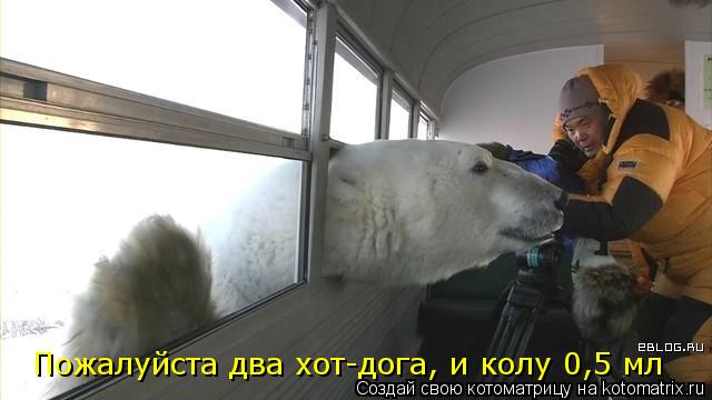Пожалуйста два хот-дога, и колу 0,5 мл... Котоматрица: Пожалуйста два хот-дога, и колу 0,5 мл