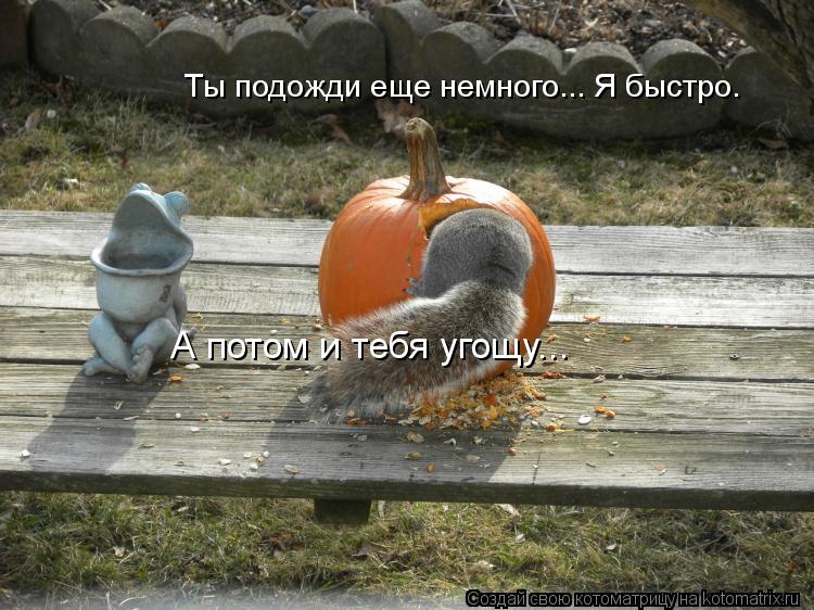 Котоматрица: Ты подожди еще немного... Я быстро.  А потом и тебя угощу...