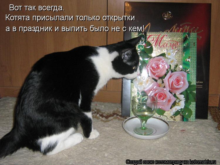 Вот так всегда. Котята присылали только открытки а в праздник и выпить было не с кем!... Котоматрица: Вот так всегда. Котята присылали только открытки а в праздник и выпить было не с кем!