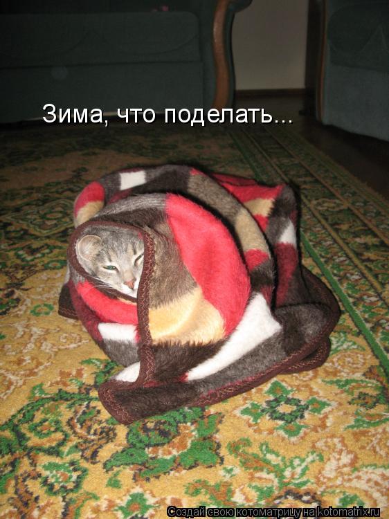 Котоматрица: Зима, что поделать...