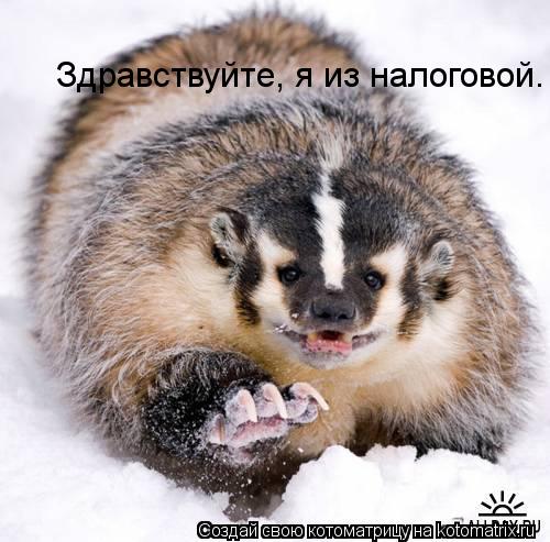 Котоматрица: Здравствуйте, я из налоговой.