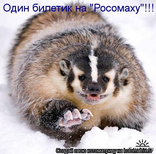 Один билетик на "Росомаху"!!!... Котоматрица: Один билетик на "Росомаху"!!!