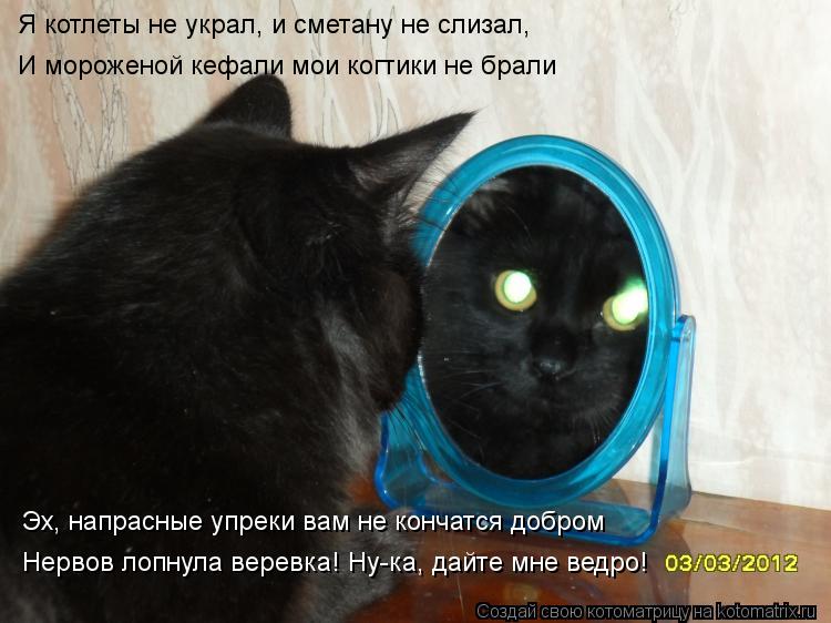 Я котлеты не украл, и сметану не слизал, И мороженой кефали мои когтики не брали Эх, напрасные упреки... Котоматрица: Я котлеты не украл, и сметану не слизал, И мороженой кефали мои когтики не брали Эх, напрасные упреки вам не кончатся добром Нервов лопнула в